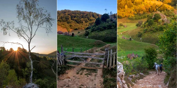 Toamna in Fundătura Ponorului  Foto Lucian Ignat jpg