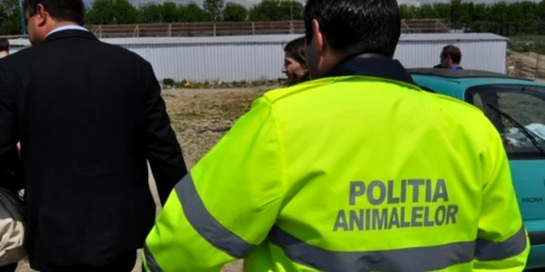 politiaanimaleadevar jpeg