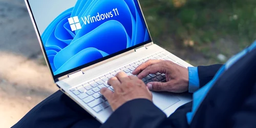 Windows 11 afaceri costum microsoft FOTO Shutterstock