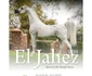 El Jahez a câștigat trei concursuri mondiale foto: Facebook