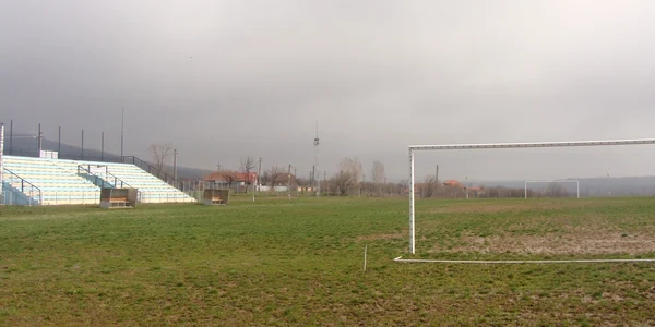 Scoarţa