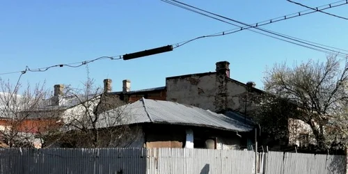 casa pesta porcina