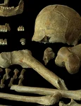 O analiză a ADN-ului neanderthalienilor din nord-vestul Europei dezvăluie diversitatea genetică a acestora, inclusiv a indivizilor din Peștera Spy din Belgia (© P. Semal, Royal Belgian Institute of Natural Sciences, CC-BY 4.0)