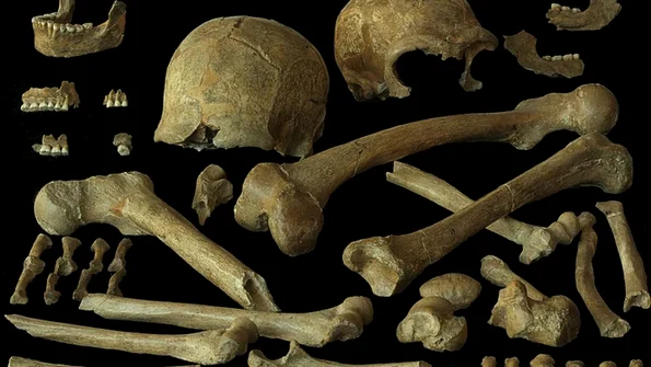 O nouă analiză a ADN-ului antic al neanderthalienilor din nord-vestul Europei dezvăluie că aceștia erau mai diverși din punct de vedere genetic decât se credea anterior, inclusiv indivizi din Peștera Spy din Belgia, în imagine (© P. Semal, Royal Belg