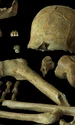 O analiză a ADN-ului neanderthalienilor din nord-vestul Europei dezvăluie diversitatea genetică a acestora, inclusiv a indivizilor din Peștera Spy din Belgia (© P. Semal, Royal Belgian Institute of Natural Sciences, CC-BY 4.0)