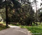 Petroșani Zonele unde au apărut urși Foto Daniel Guță (17) jpg