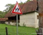 Bulzestii de sus, Hunedoara Foto Daniel Guță ADEVĂRUL (57) JPG