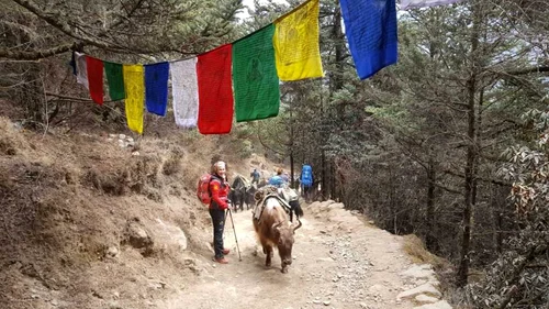 Turişti pe Himalaya FOTO arhivă personală Alexandra Mazilu