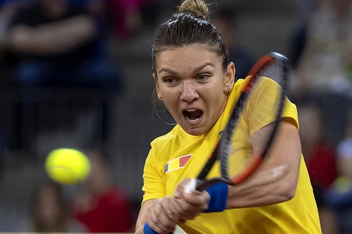 Simona Halep și colege sale își doresc să repete evoluția din Cehia și să se califice în finala Fed CupFoto: EPA