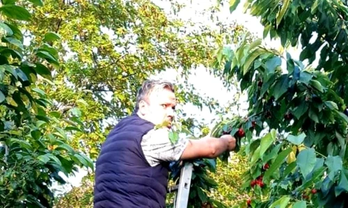 Dan Helciug,  prins la furat, de  prietenul lui  jpeg