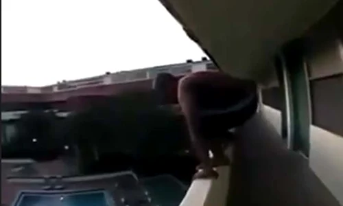 piscin jpeg