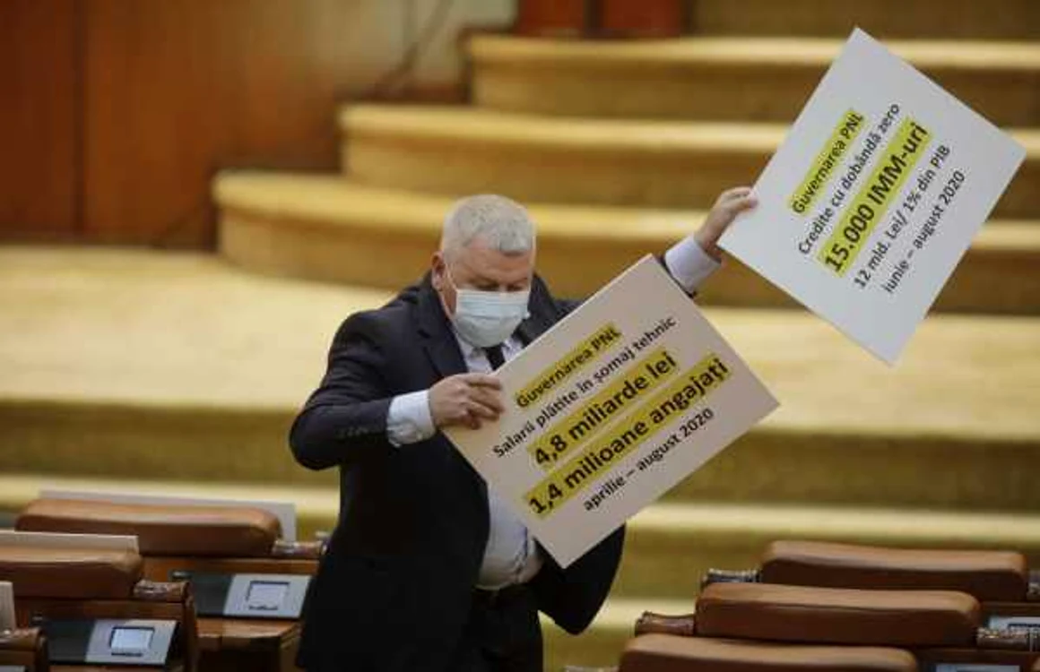 Florin Roman, iniţiatorul proiectului de lege. FOTO Inquam Photos / Octav Ganea