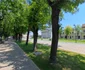 Satu Mare  Foto Daniel Guță ADEVĂRUL (21) jpg