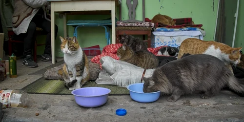 Război Ucraina - ziua 85 - Harkov - 19 mai 2022 / FOTO EPA-EFE