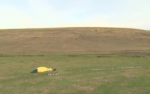 Femeia violata a murit de frig, după ce a fost abandonată în câmpFoto: adevarul.ro