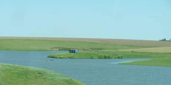 sarulesti 5