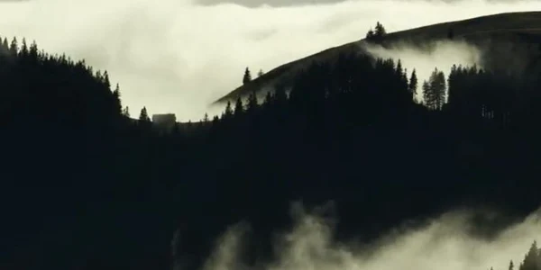 Piatra Craiului Imagini ROMSILVA Mircea Vergheleţ.