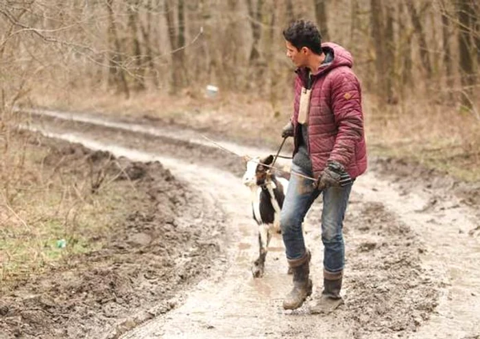 "Ferma vedetelor" - Lucian Viziru participă la treburile din fermă