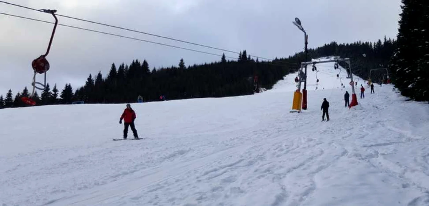 Râuşor. Foto: Daniel Guţă. ADEVĂRUL.