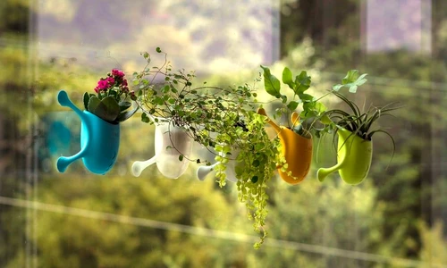 1 70780 original jpg jpeg