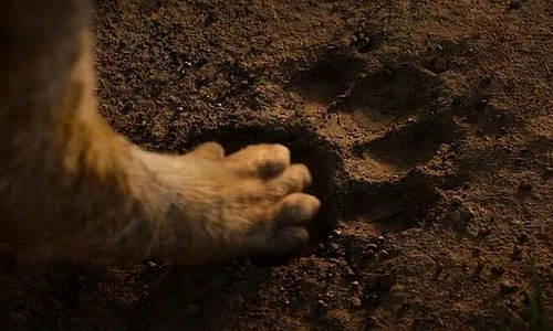 Regele Leu  Noblesse oblige jpeg