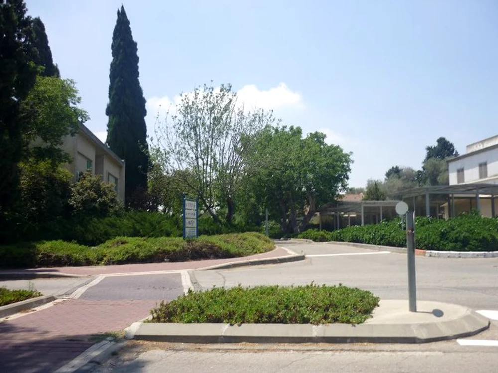 Viaţa în kibbutz jpeg