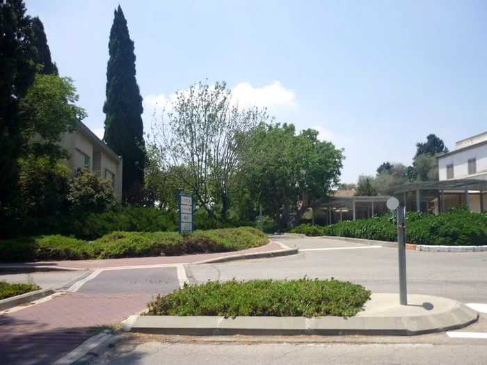 Viaţa în kibbutz jpeg