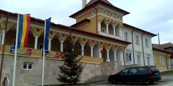 primarie negrilesti