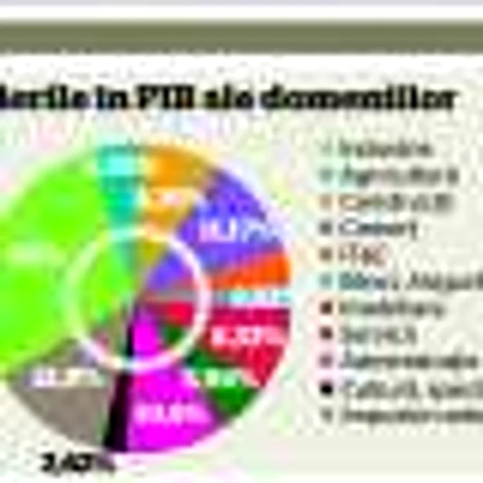 grafic contributie PIB 2012