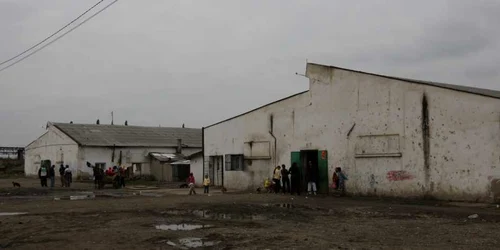 Oamenii dormeau pe paturi de paie şi în gunoi