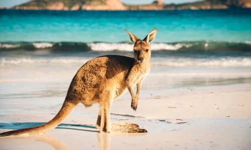 1 shutterstock 603577658 jpg jpeg