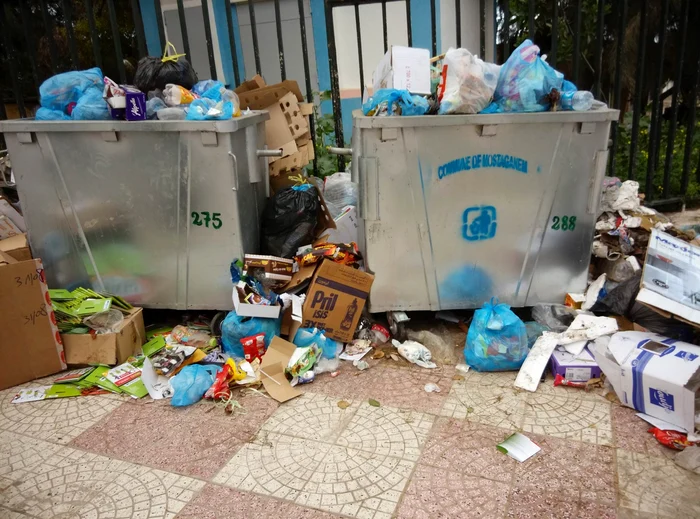 Gunoiște jpeg