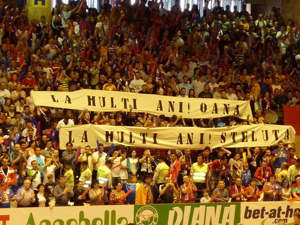 Suporterii Oltchimului