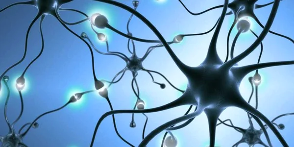 neuroni creier shutetrstock