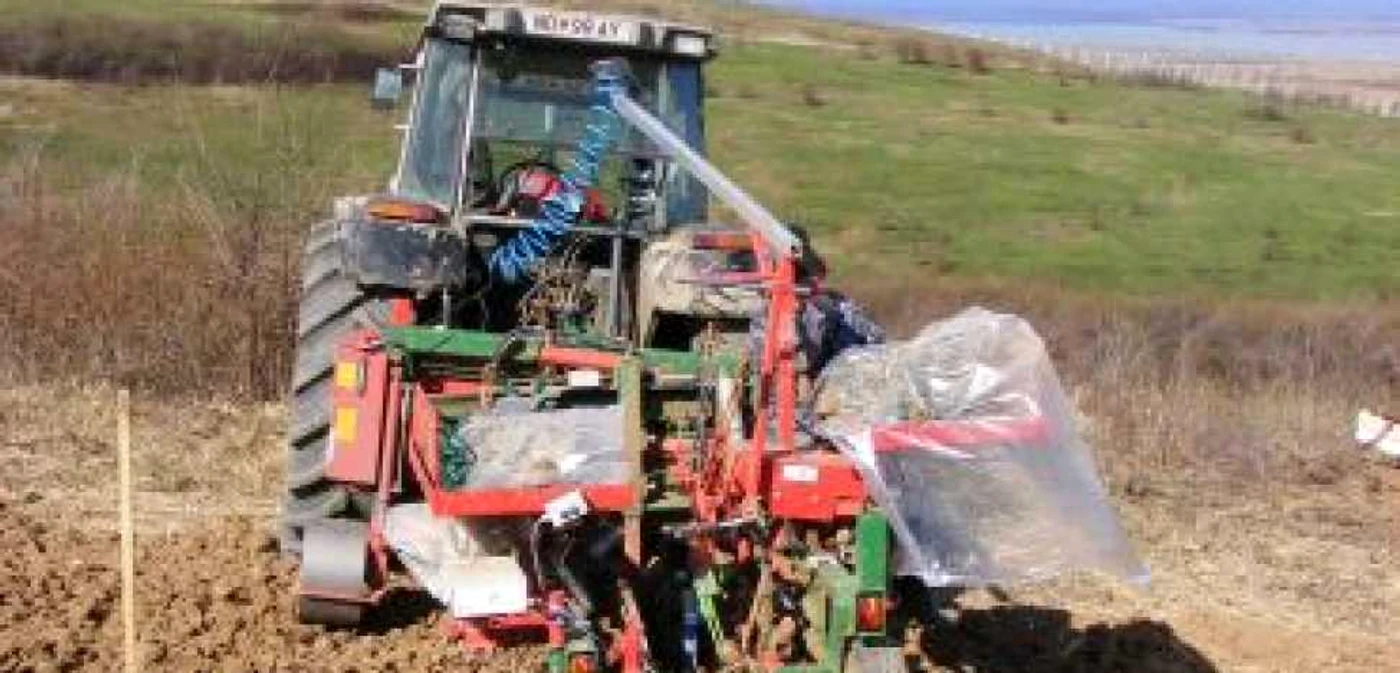 Râmnicu Vâlcea: Viile Drăgăşaniului nu au fost distruse de Burebista ci „sechestrate”de Finanţe