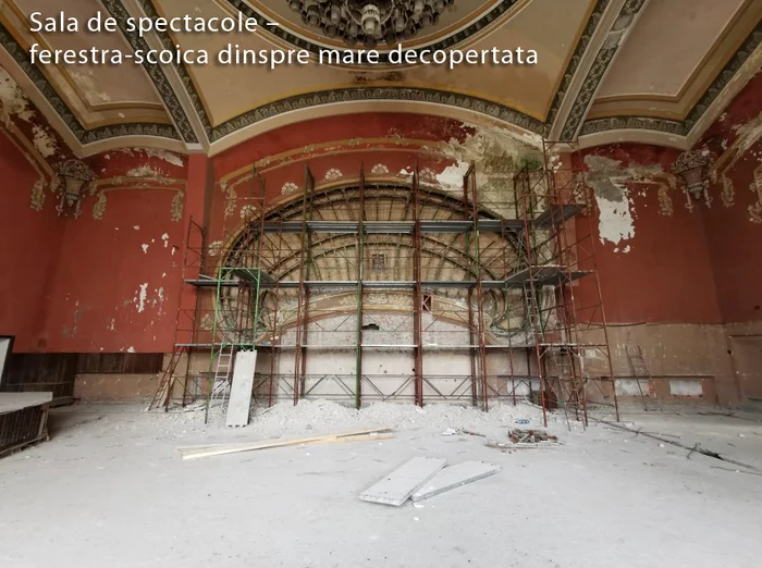 Aşa arată fereastra – scoică recent decopertată  