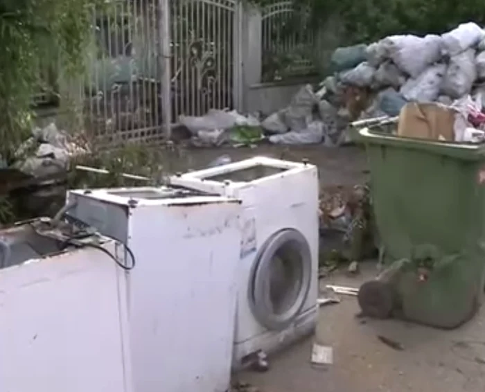 
    Tone de deșeuri în județul Călărașifoto: captură Digi 24  