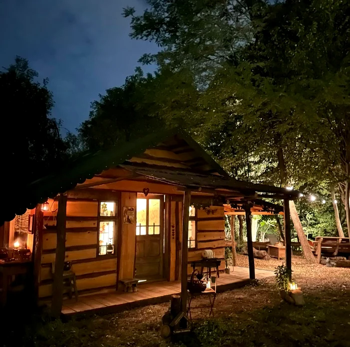 Casa din pădure a Mihaelei Bilic FOTO: FB