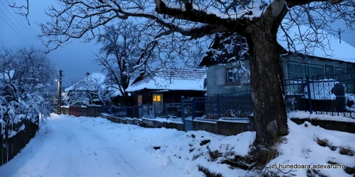 poiana rachitelii foto daniel guta adevarul