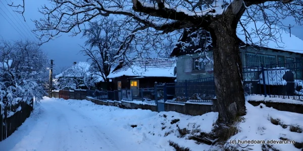 poiana rachitelii foto daniel guta adevarul