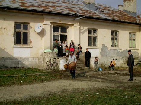 tanasuca 8