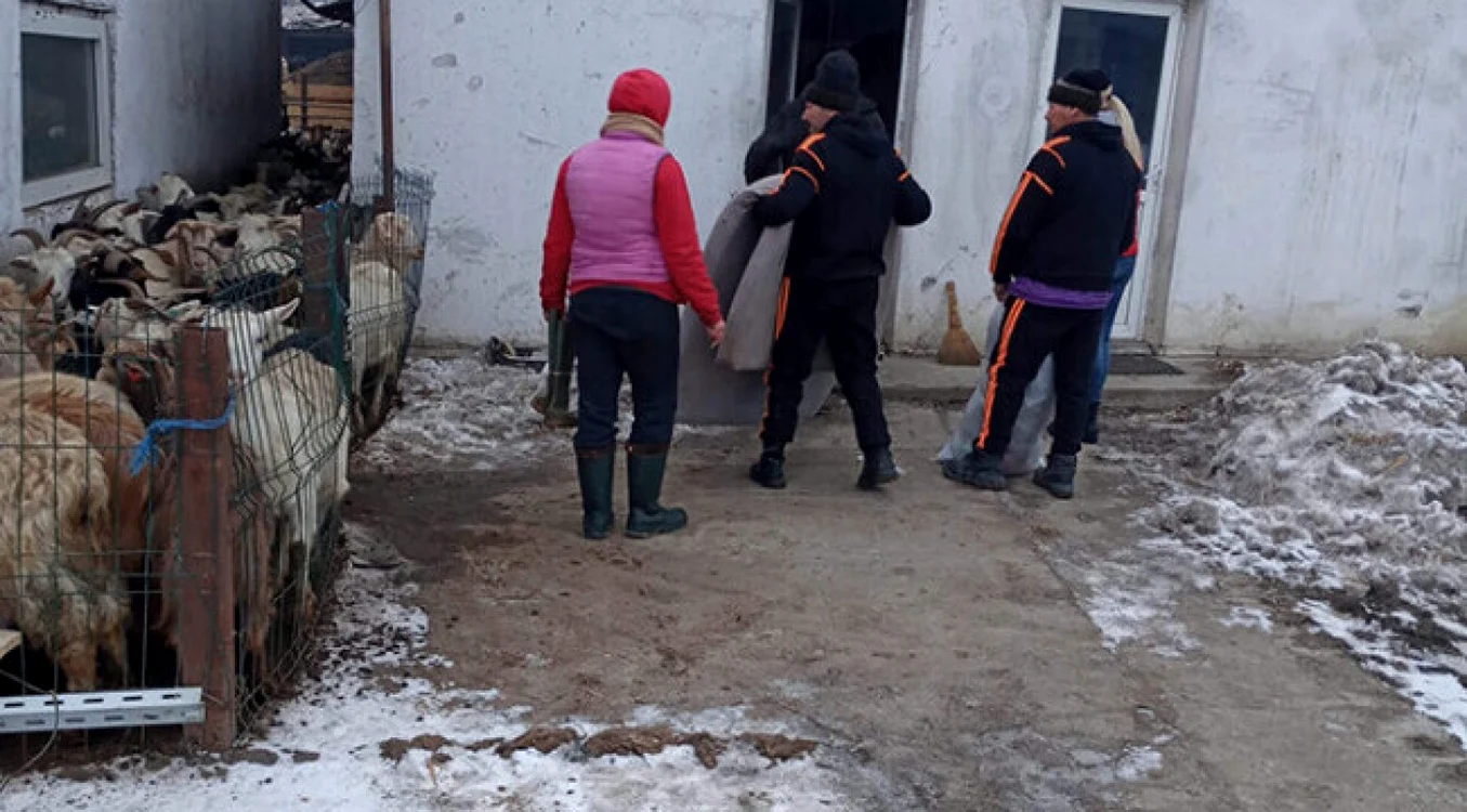 Cei doi oamenii ai străzii au primit condiţii decente la fermă FOTO Vremea Nouă Vaslui