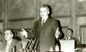 Întâlnirea lui Nicolae Ceauşescu, secretar general al PCR, preşedintele RSR, Comandantul Suprem al Forţelor Armate cu reprezentanţi ai Armatei şi ai Ministerului de Interne (© „Fototeca online a comunismului românesc”, cota: 358/1978)