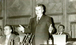 Întâlnirea lui Nicolae Ceauşescu, secretar general al PCR, preşedintele RSR, Comandantul Suprem al Forţelor Armate cu reprezentanţi ai Armatei şi ai Ministerului de Interne (©  „Fototeca online a comunismului românesc”, cota: 358/1978)