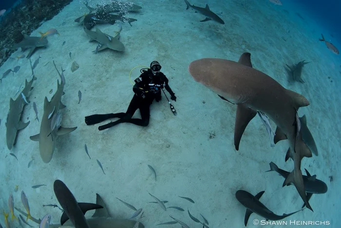 1402997 10151749553860872 1412275596 o jpeg