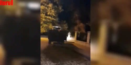 balega suceava