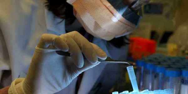 Descoperirea anticorpilor rezistenți la turbare îi va ajuta pe oamenii de ştiinţă să dezvolte noi tratamente contra bolii