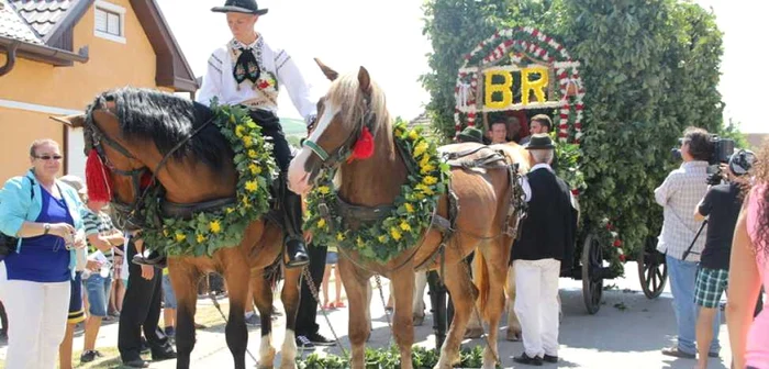 Carul cu care se plimbau tinerii care curăţau izvoarele prin sat. Foto: Asociaţia Şonenilor din Germania