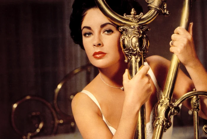 Elizabeth Taylor. FOTO: Profimedia