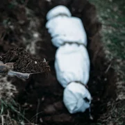 cadavru ingropat inmomantare crima ascundere cadavru foto shutterstock